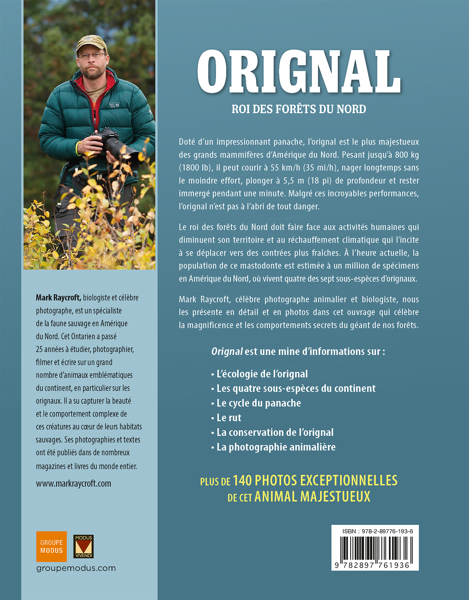 Orignal – Roi des forêts du Nord – Image 4