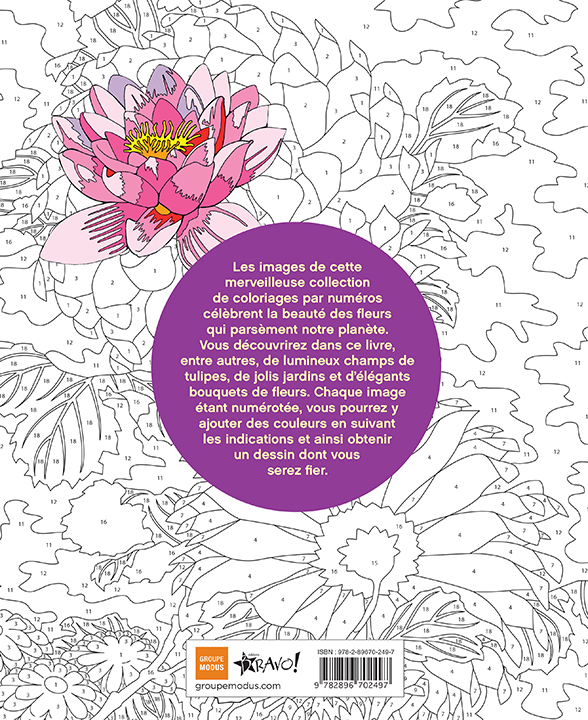 Coloriage par numéros – Fleurs – Image 3