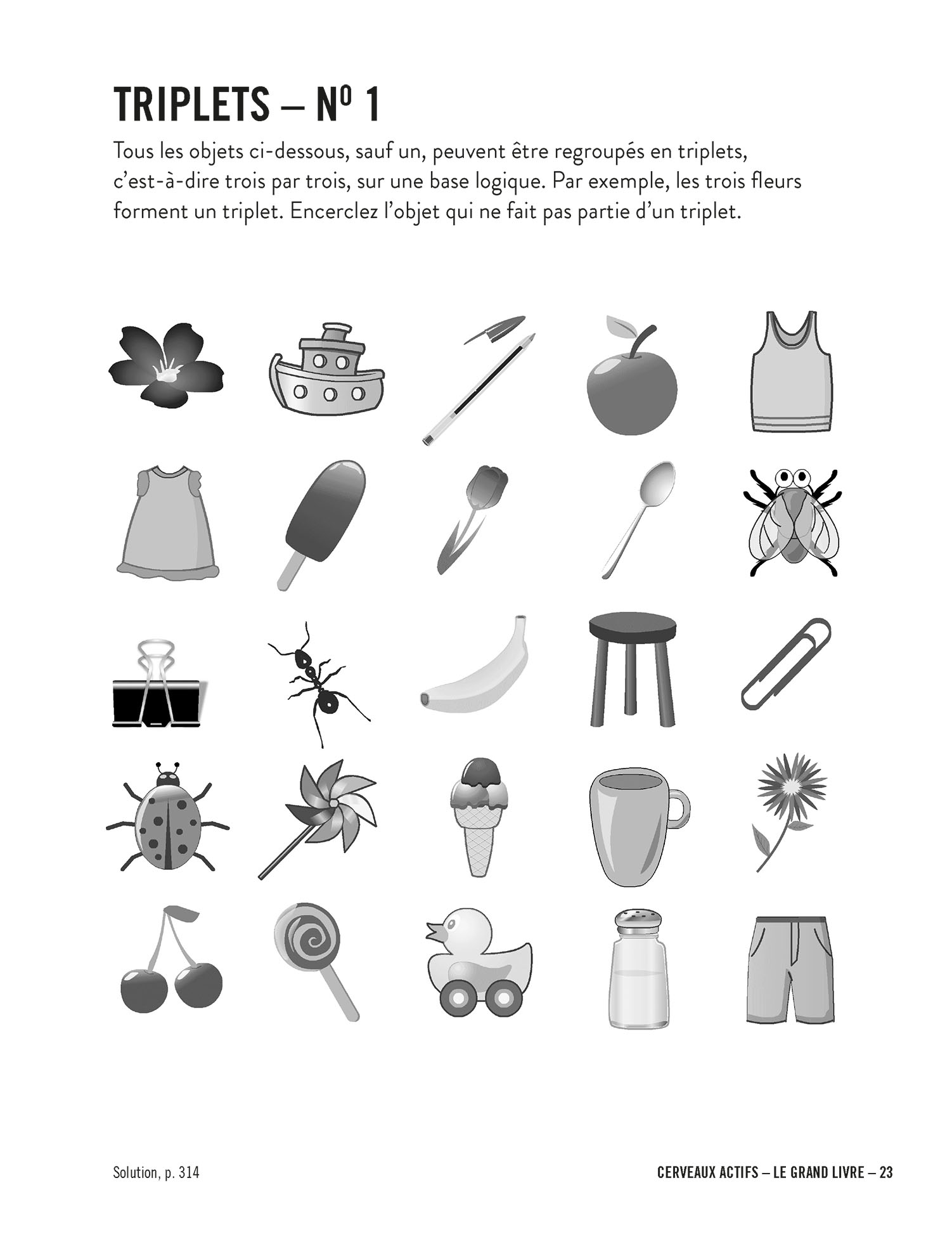 Cerveaux actifs - Le grand livre – Image 3